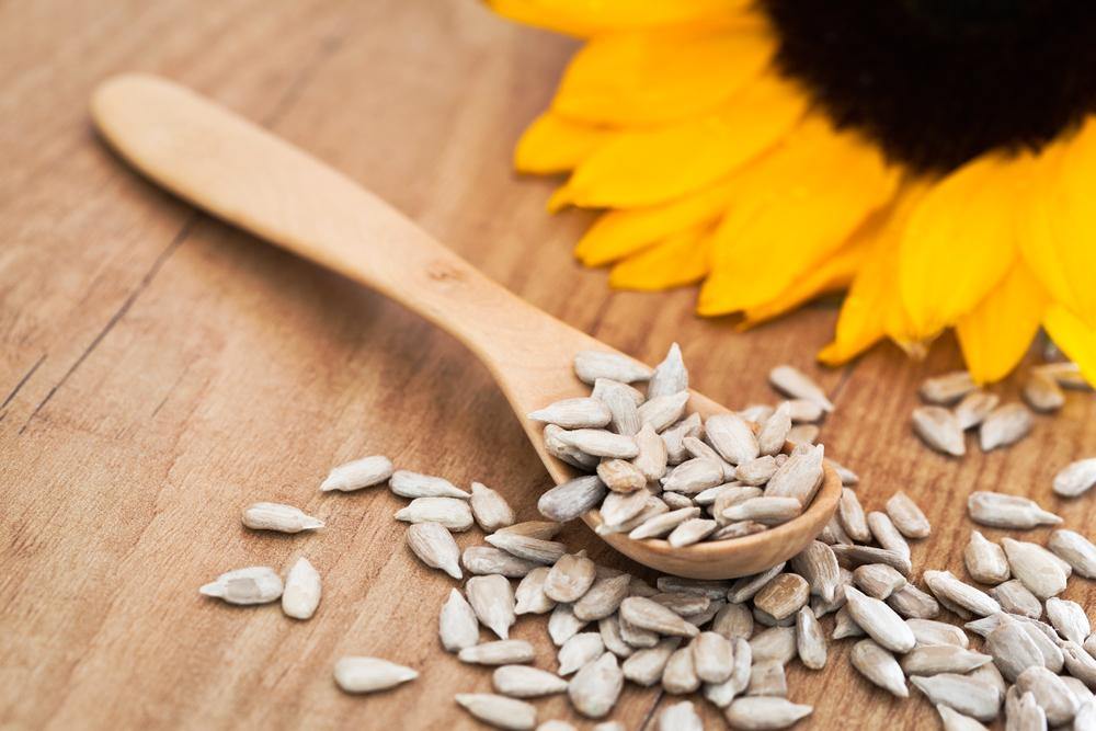 There are lots of benefits of sunflower seeds but do sunflower seeds have fiber and vitamin-E?