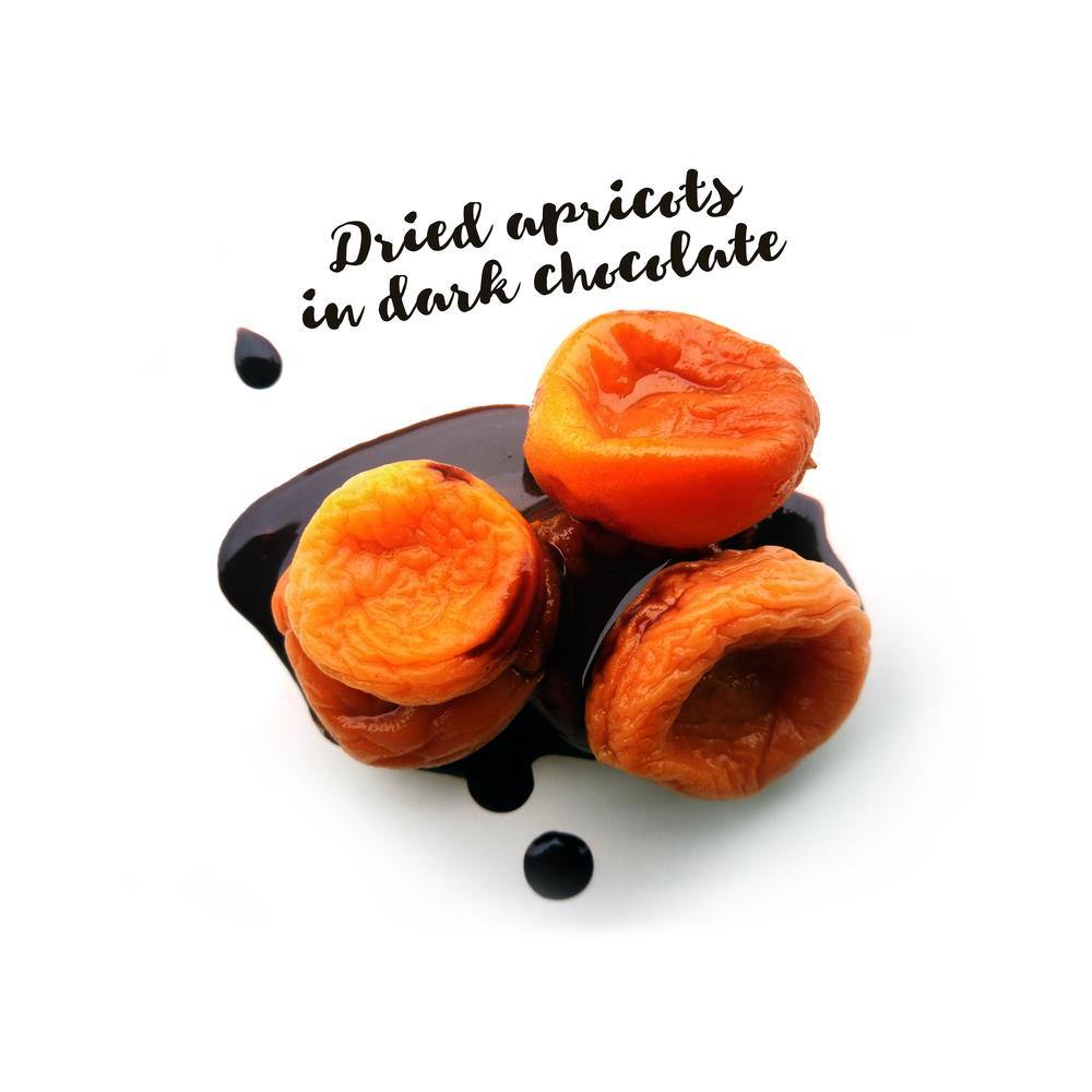 Organic Dried Fruits with Chocolate Sauce - Nature's Garden