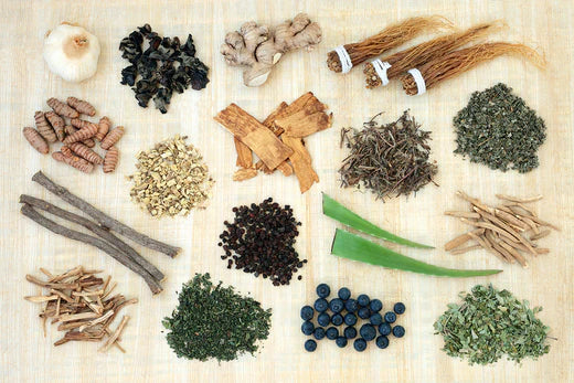 What Are Adaptogens? Benefits & Common Types – Nature's Garden