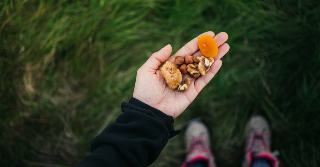 Best way to Snack while Camping or on a Long Road Trip