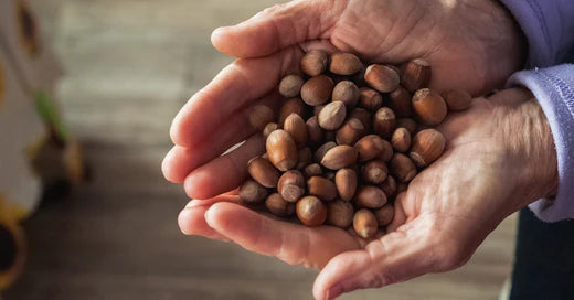 Do Nuts Delay Aging?