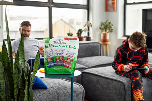 Father and son relaxing in a modern living room with a bag of Nature’s Garden Trail Mix Snack Packs on the table—ideal healthy snacks for kids, packed with nuts and dried fruits for on-the-go nutrition.