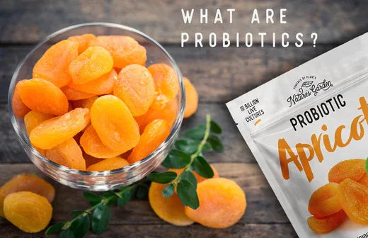 What Are Probiotics